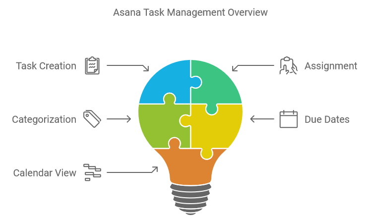 Asana Task Management Overview